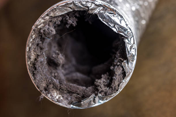 Air Duct Mold Removal in AR