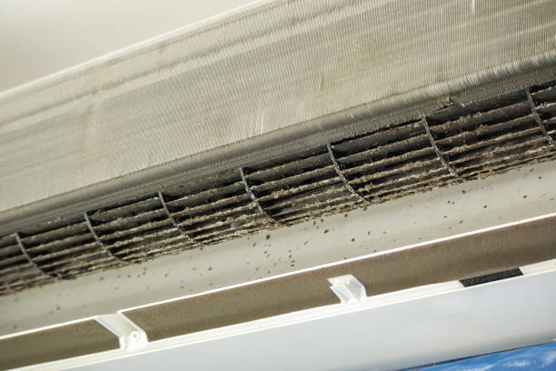 Best Ductwork Cleaning Services  in Kensett, AR